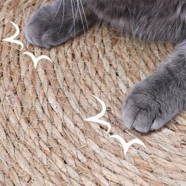 Cat Scratching Mat Natural Reed Woven Round 40cm 50cm 60cm 80cm Floor Scratcher Pad Furniture Protector Indoor | Koossa