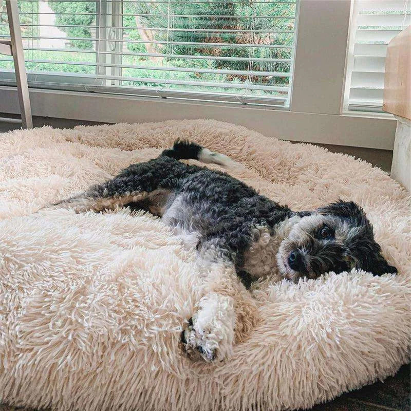 Dog Bed Calming Donut Plush Round Cushion Washable Anti-Slip XS S M L XL XXL Puppy Cat Pet Sleeping Mat | Koossa