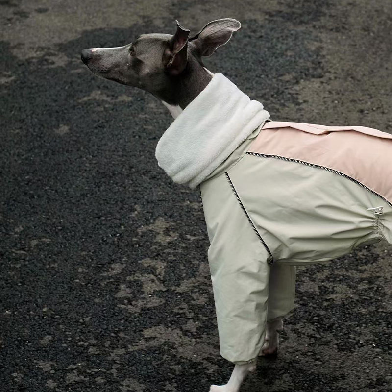 Dog Winter Onesie Fleece Lined Waterproof Whippet Greyhound Sizes 1–10 Leash Opening Windproof Suit | Koossa