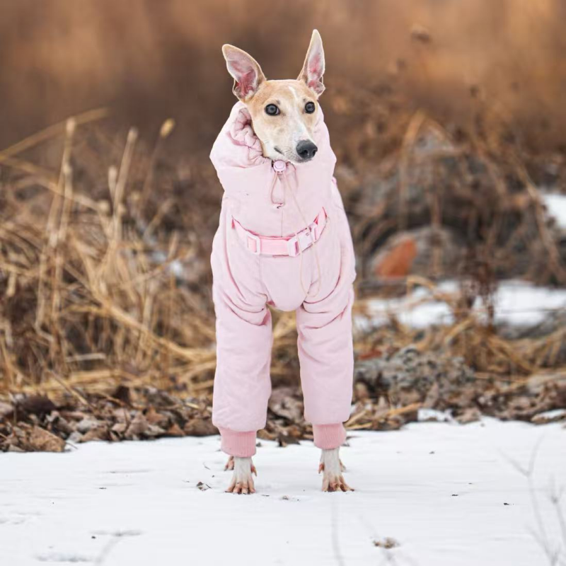 Dog Padded Coat Parka Fleece Lined Waterproof Whippet Greyhound S to 4XL Leash Ring High Neck Windproof | Koossa