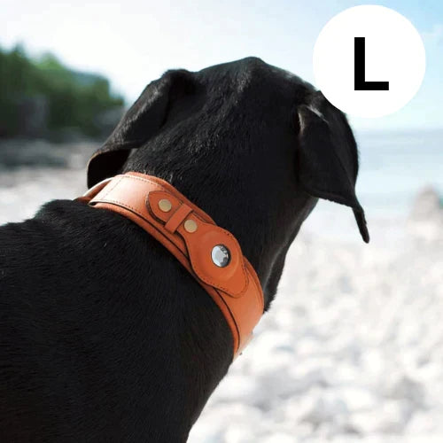 GPS Dog Collar with Real-Time Tracking, No Monthly Subscription, Adjustable Pet Locator Collar for Walks, Hiking & Travel | Lonoma