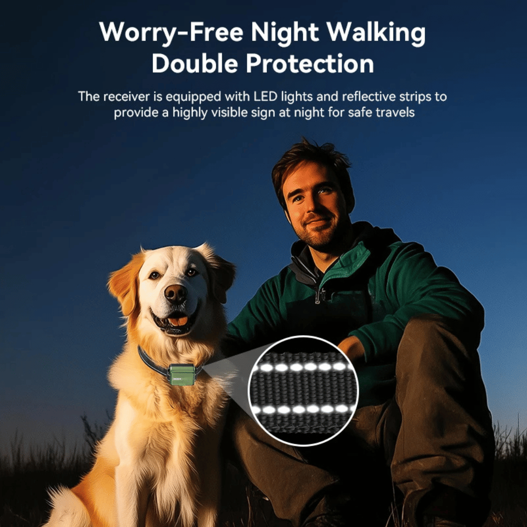 Dog Training Collar 300m Remote Waterproof Rechargeable Beep Vibration Static Small Large Dogs USB-C | Koossa