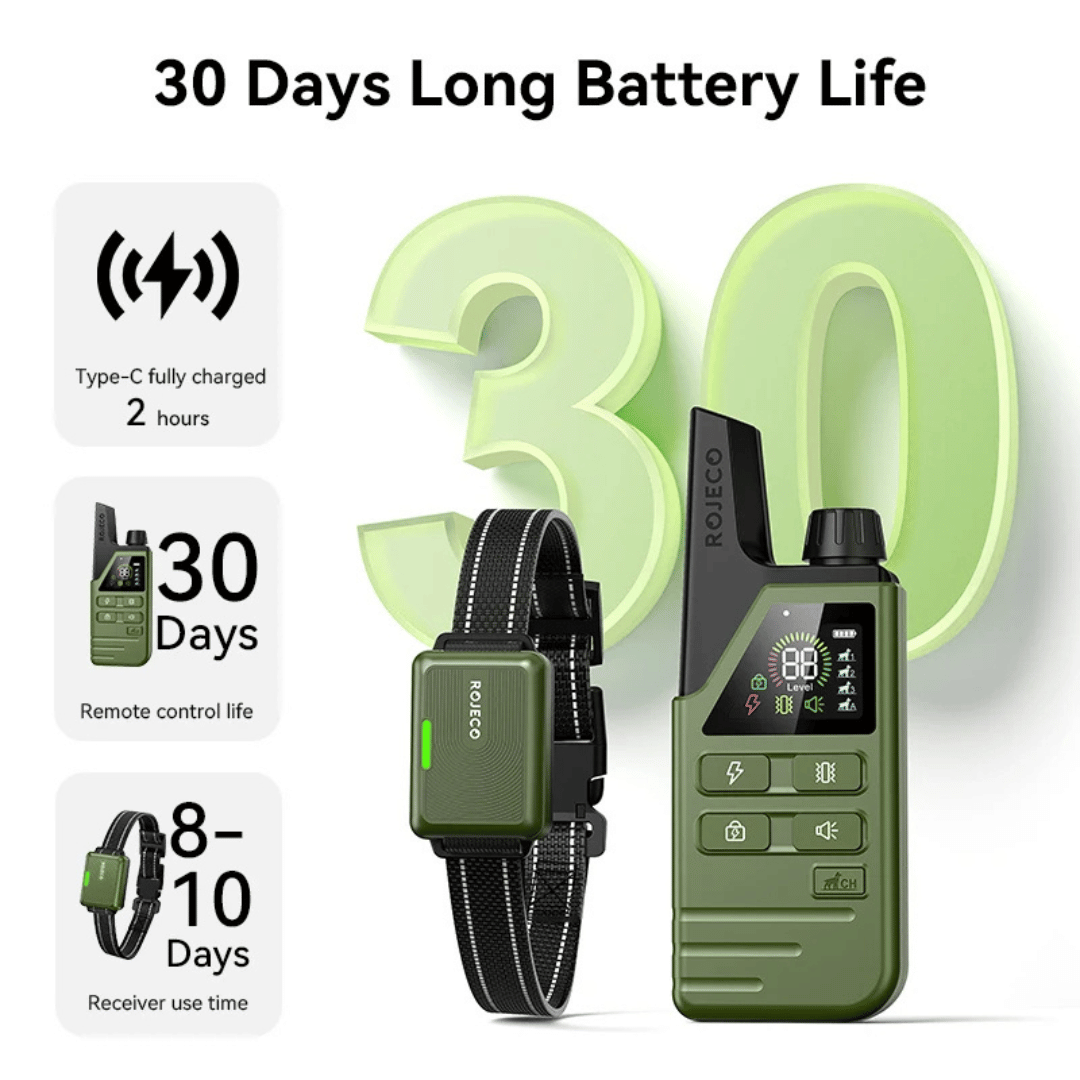 Dog Training Collar 300m Remote Waterproof Rechargeable Beep Vibration Static Small Large Dogs USB-C | Koossa