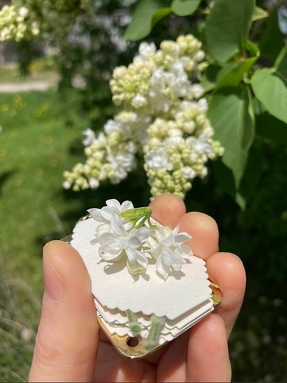 Compact Botanical Flower Press Kit for Crafts, Scrapbooking & Nature Lovers - Portable Metal Plant Presser with Blotting Papers | Lonoma