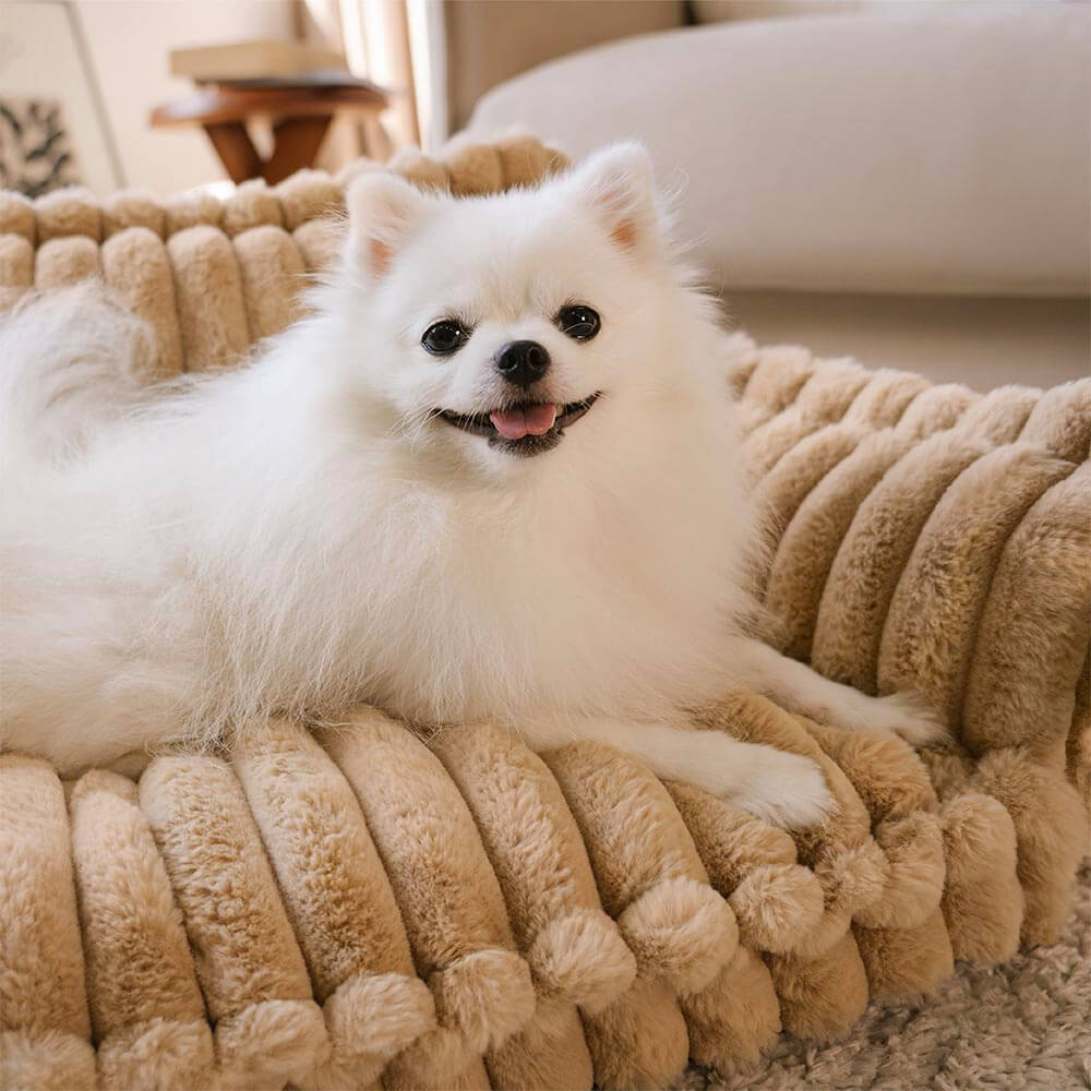 Orthopaedic Dog Bed Memory Foam Joint Support Washable Cover Plush Cushion Medium Large XL XXL Arthritis Pain Relief Older Dogs | Koossa