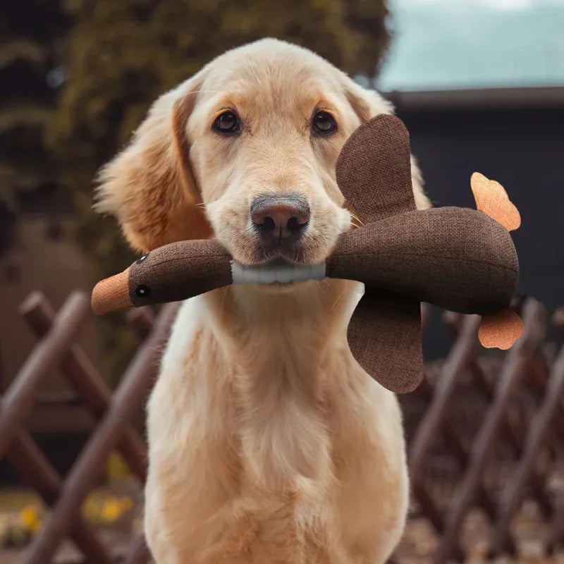 Dog Chew Toy Durable Rubber Goose Dental Care Non-Toxic Puppy Teething Strong Jaw Long-Lasting | Koossa