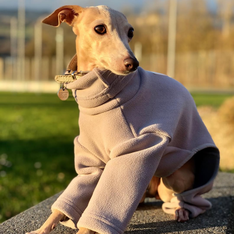 Dog Fleece Onesie Turtleneck Loose Fit Whippet Greyhound XS to XXL Four-Leg Jumpsuit Iggy Winter Clothes | Koossa