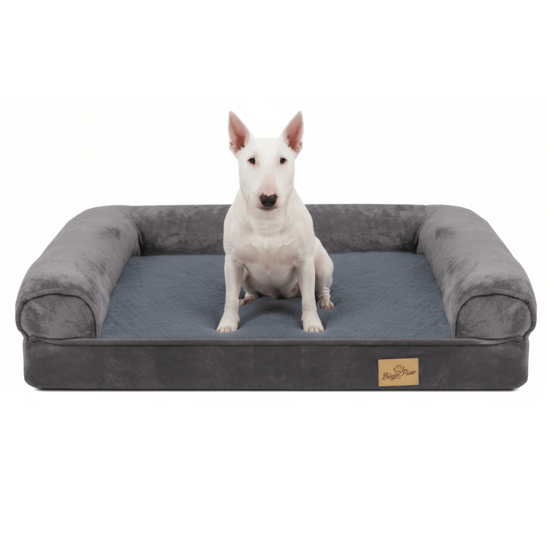Dog Bed Memory Foam Orthopaedic Bolster L XL Waterproof Washable Large Dogs Joint Support Anti-Slip Sofa Bed | Koossa