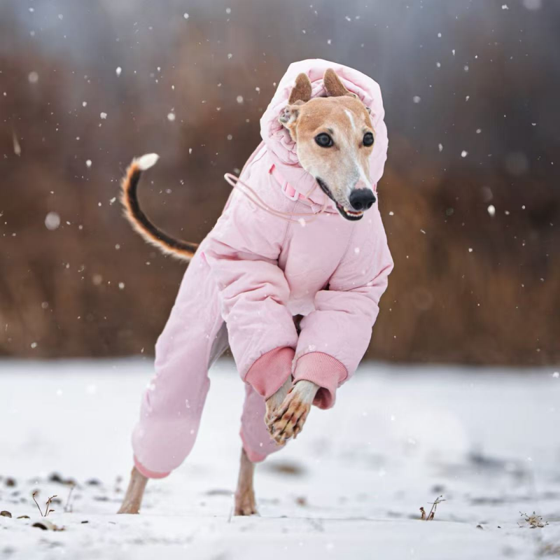 Dog Padded Coat Parka Fleece Lined Waterproof Whippet Greyhound S to 4XL Leash Ring High Neck Windproof | Koossa
