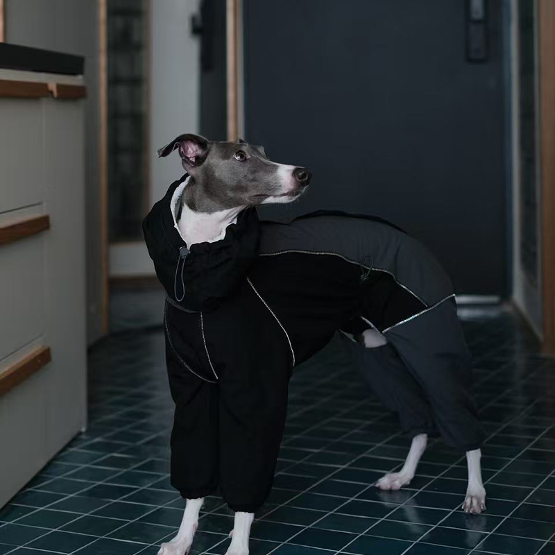 Dog Winter Onesie Fleece Lined Waterproof Whippet Greyhound Sizes 1–10 Leash Opening Windproof Suit | Koossa