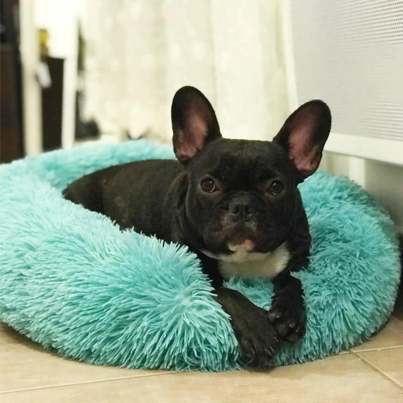 Dog Bed Calming Donut Plush Round Cushion Washable Anti-Slip XS S M L XL XXL Puppy Cat Pet Sleeping Mat | Koossa
