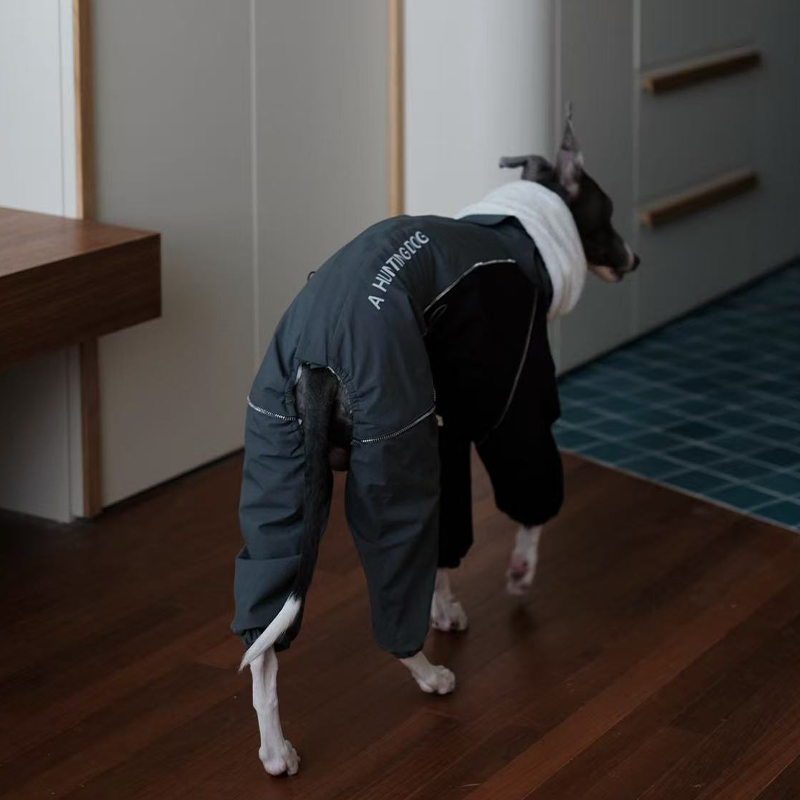 Dog Winter Onesie Fleece Lined Waterproof Whippet Greyhound Sizes 1–10 Leash Opening Windproof Suit | Koossa