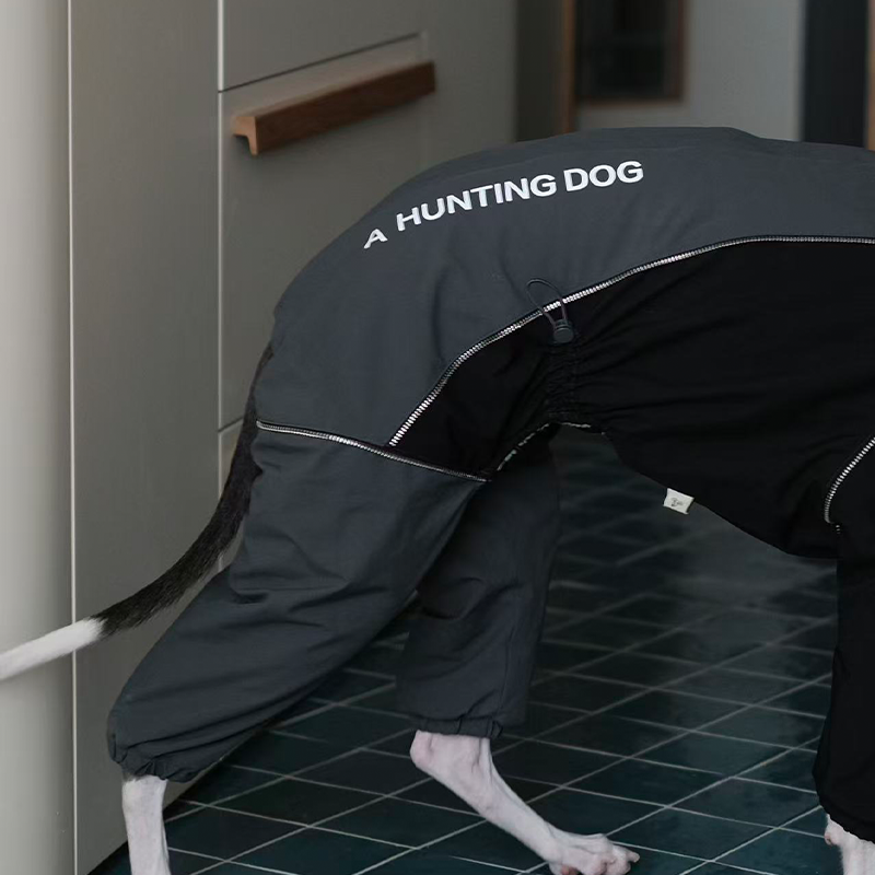 Dog Winter Onesie Fleece Lined Waterproof Whippet Greyhound Sizes 1–10 Leash Opening Windproof Suit | Koossa
