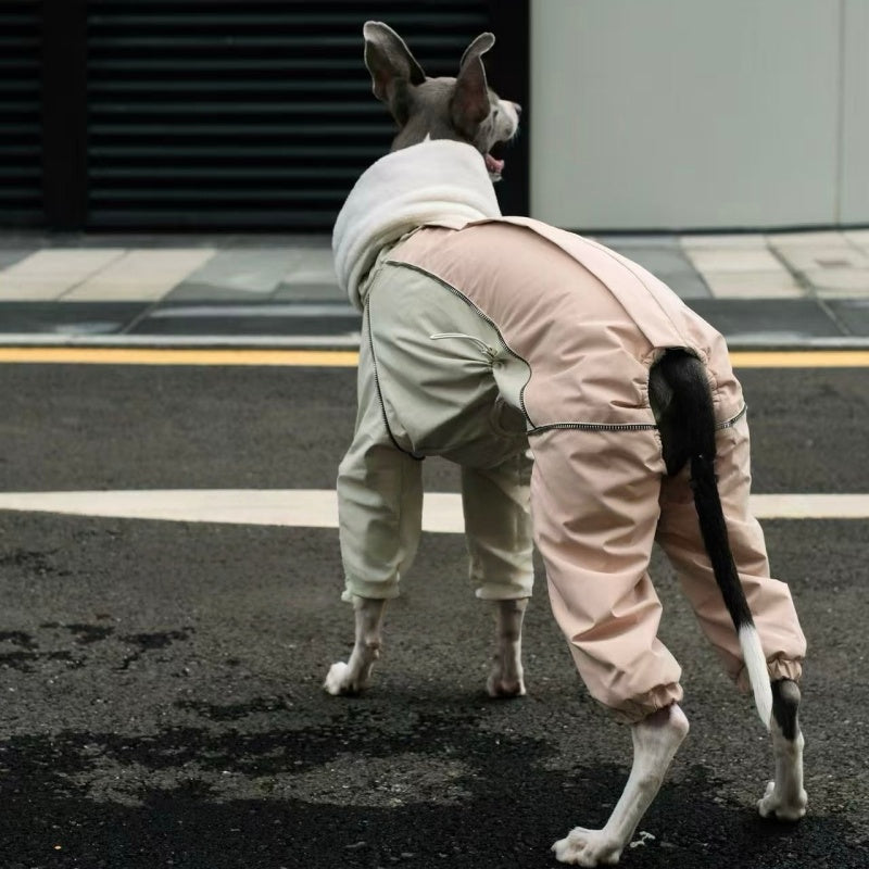 Dog Winter Onesie Fleece Lined Waterproof Whippet Greyhound Sizes 1–10 Leash Opening Windproof Suit | Koossa