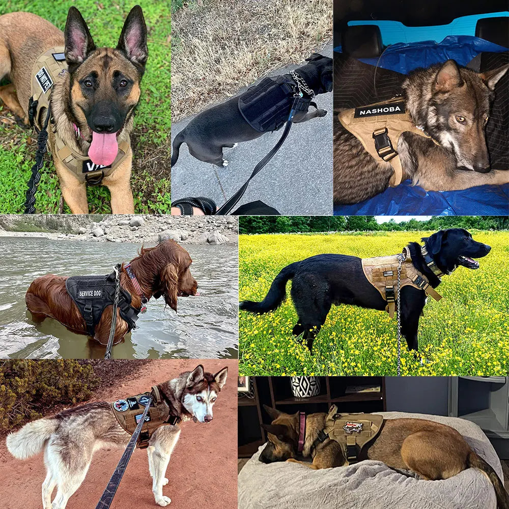 Tactical Dog Harness Heavy Duty Handle 1050D Nylon MOLLE No-Pull Adjustable Large Breeds Training Outdoor Walking Harness Metal D-Ring | Koossa