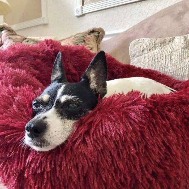 Dog Bed Calming Donut Plush Round Cushion Washable Anti-Slip XS S M L XL XXL Puppy Cat Pet Sleeping Mat | Koossa