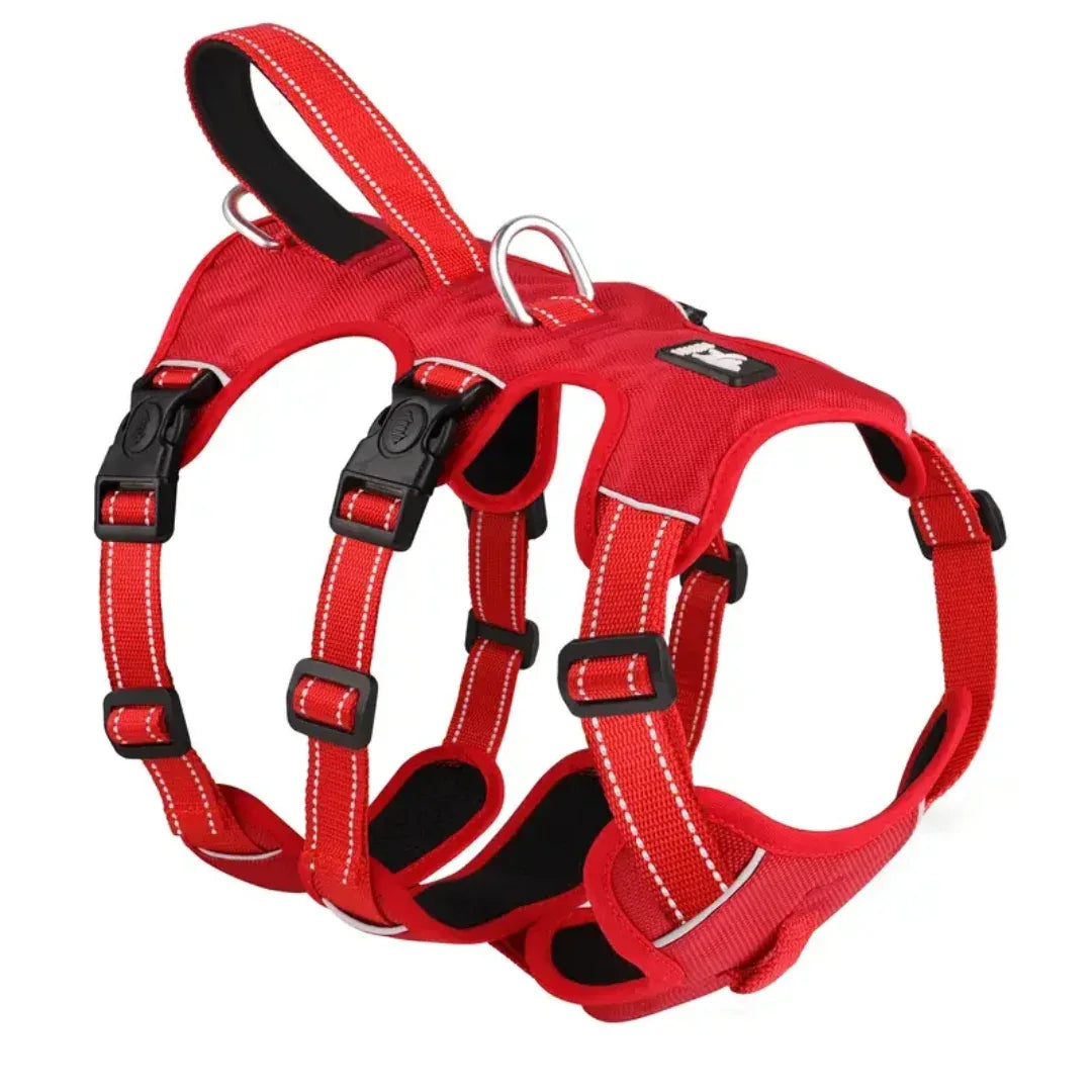 Dog Harness Escape-Proof 3 Clip Points Reflective Padded No-Pull Adjustable Medium Large Walking Training Vest Chest Strap | Koossa