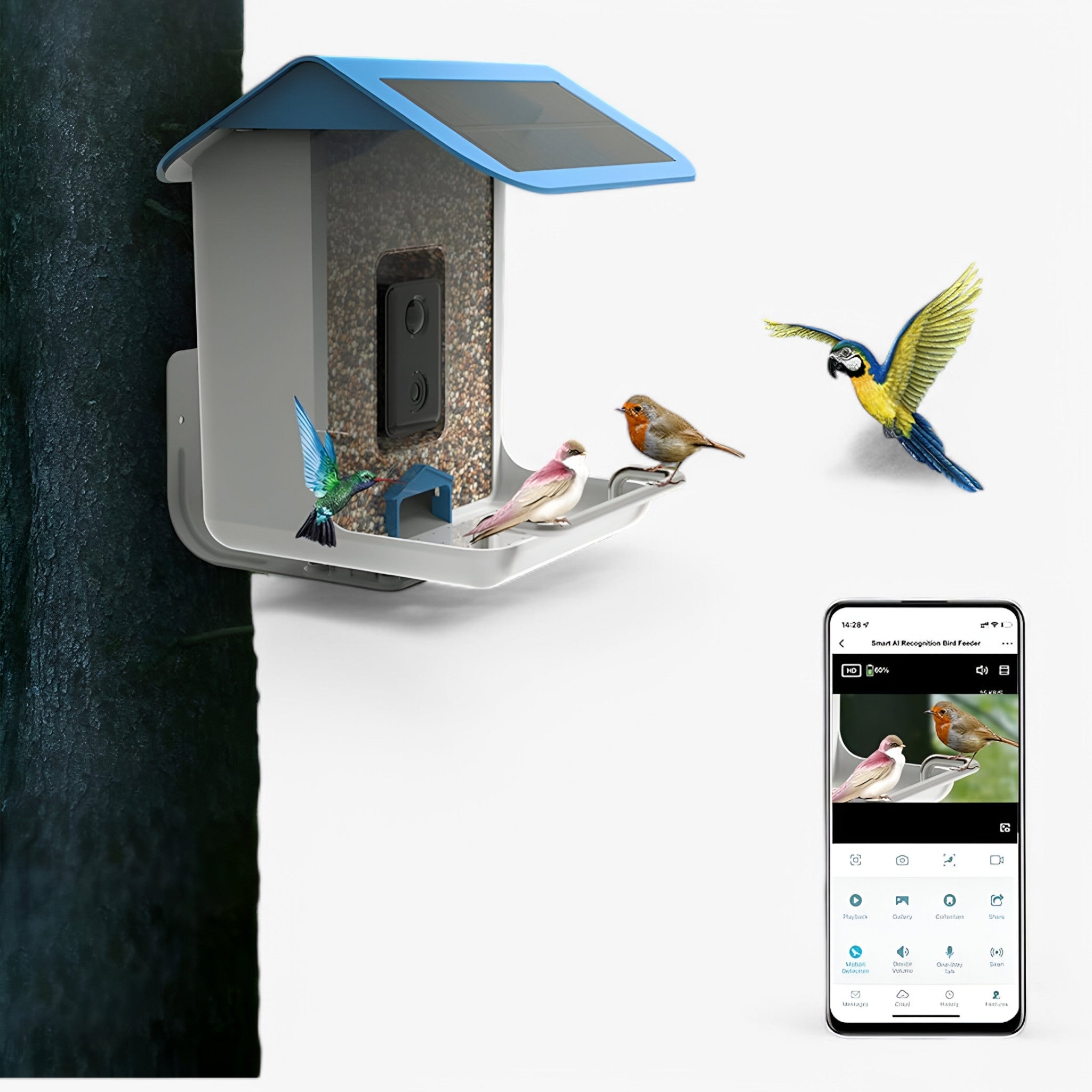 Bird Feeder Camera Smart AI Solar Powered 1080P HD Wildlife Garden Watching Identification Outdoor | Koossa
