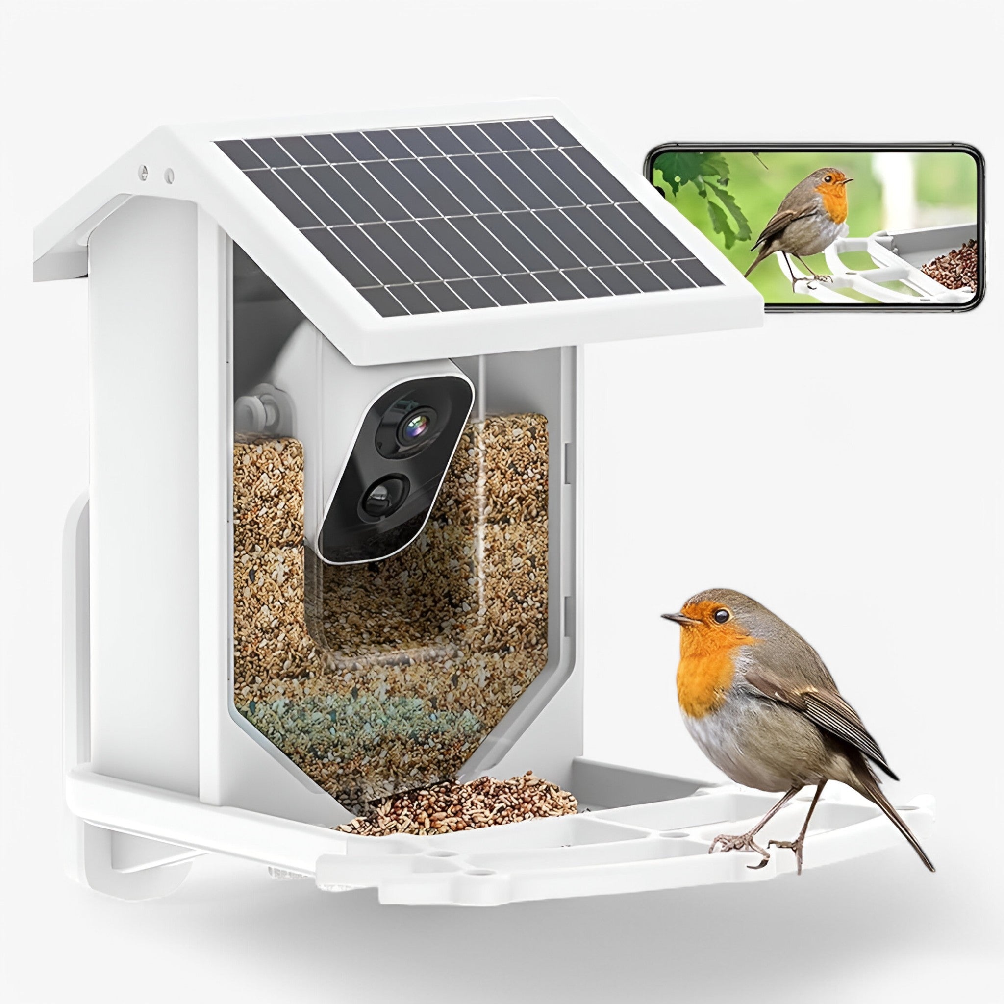 Bird Feeder Camera Smart AI Solar Powered 1080P HD Wildlife Garden Watching Identification Outdoor | Koossa