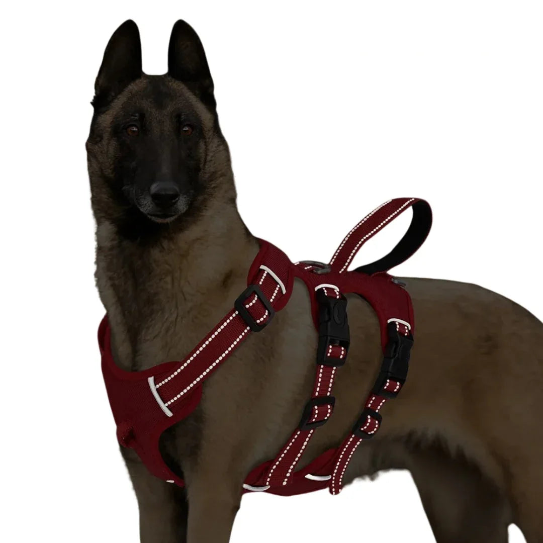 Dog Harness Escape-Proof 3 Clip Points Reflective Padded No-Pull Adjustable Medium Large Walking Training Vest Chest Strap | Koossa
