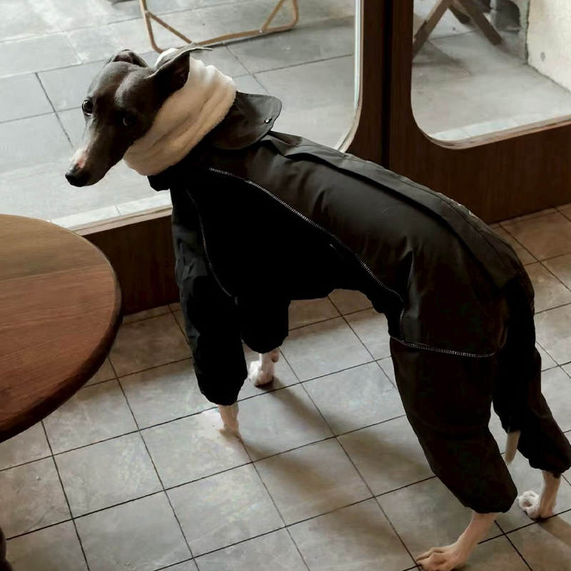 Dog Winter Onesie Fleece Lined Waterproof Whippet Greyhound Sizes 1–10 Leash Opening Windproof Suit | Koossa