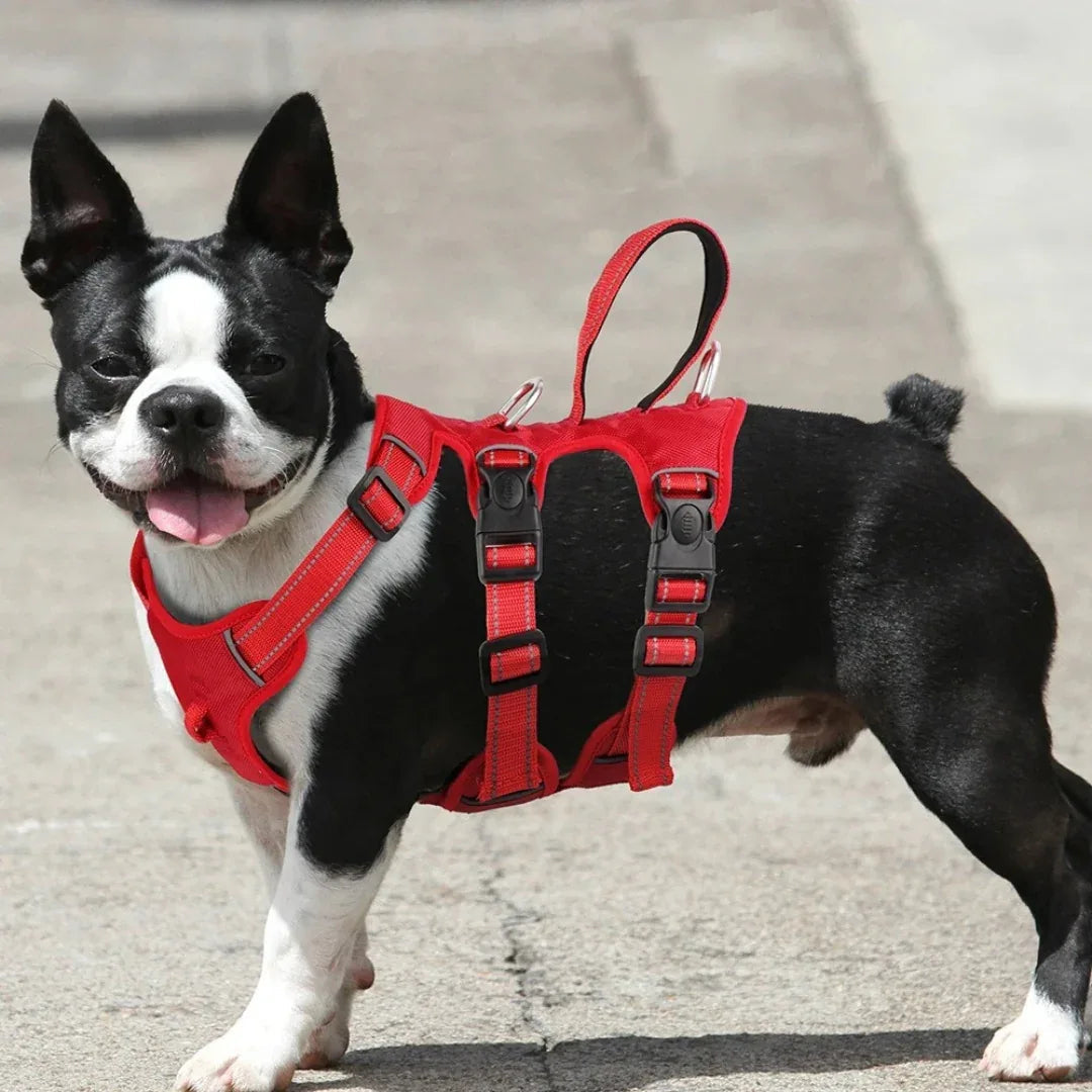 Dog Harness Escape-Proof 3 Clip Points Reflective Padded No-Pull Adjustable Medium Large Walking Training Vest Chest Strap | Koossa