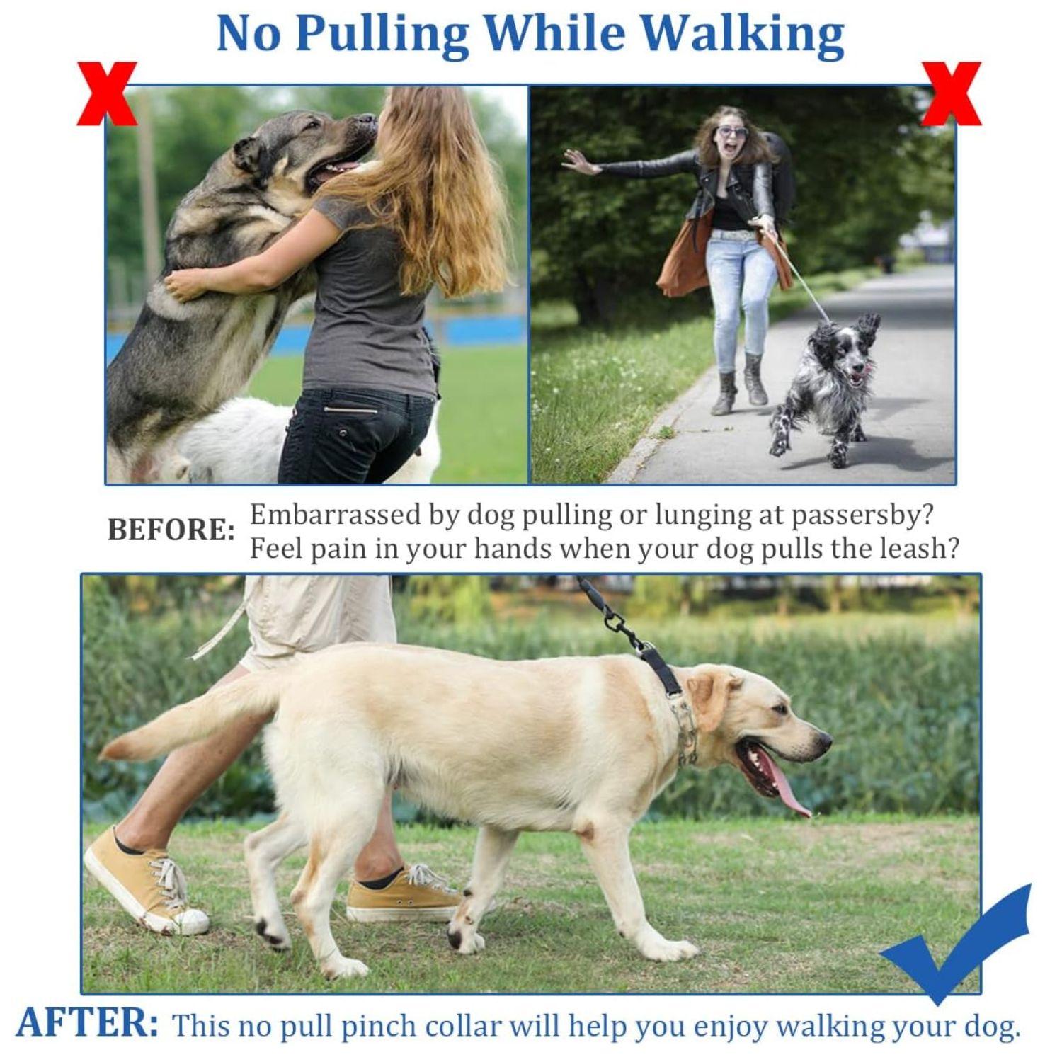 Dog Training Collar Prong Pinch Chain Adjustable Stainless Steel No-Pull Quick Release Reflective Small Medium Large XL | Koossa