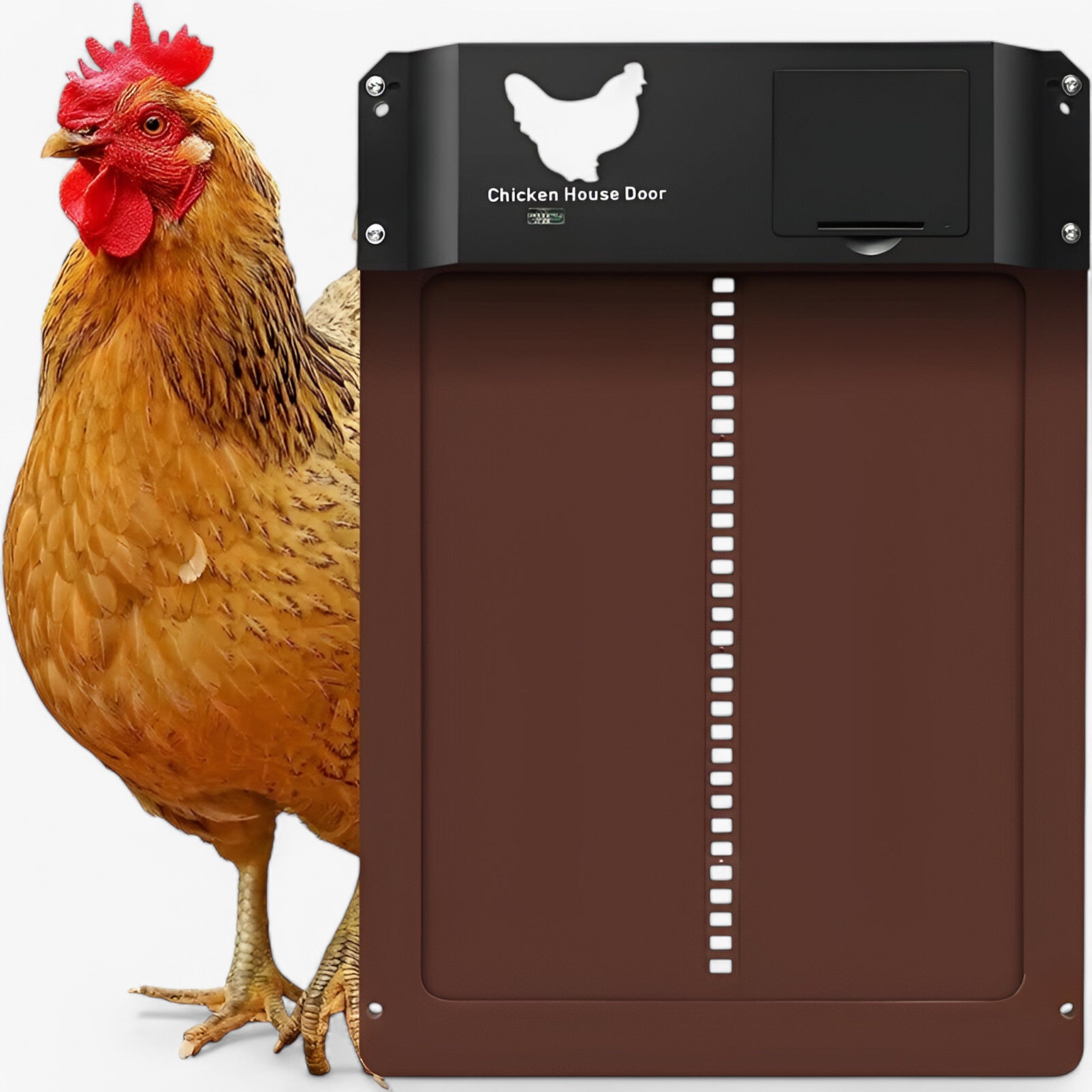 Automatic Chicken Coop Door Light Sensor Timer Battery Powered Weatherproof Green Coop Door Opener Poultry Safety | Koossa