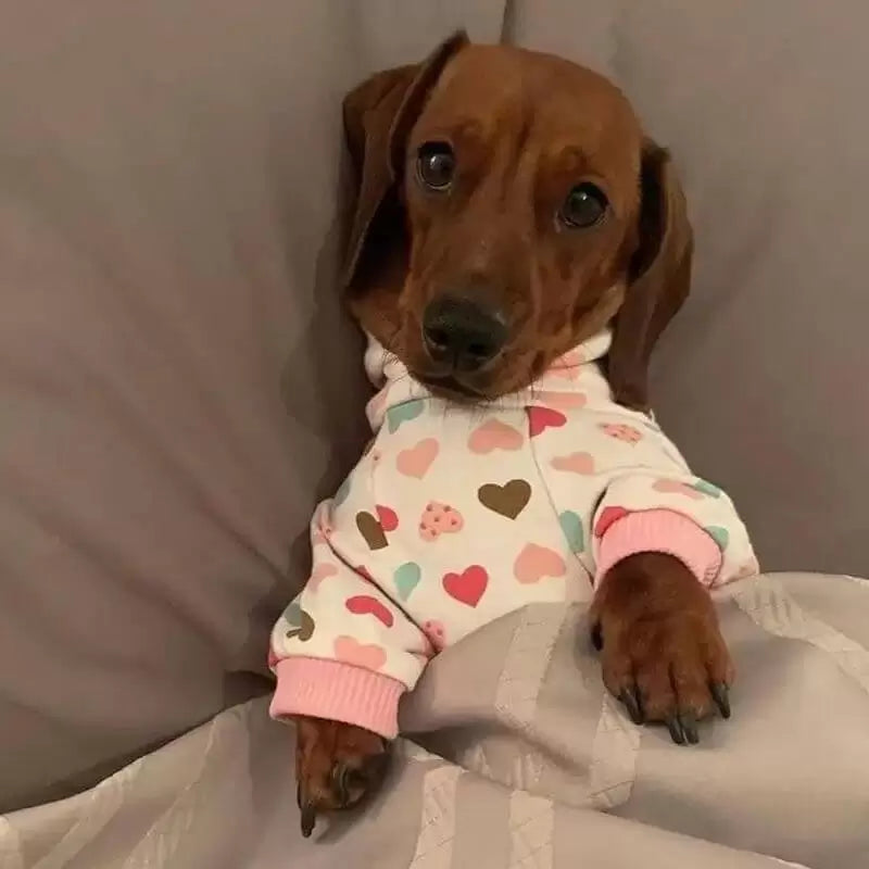 Dog Pyjamas Jumpsuit Printed Cotton Dachshund Onesie Four-Leg Suit Soft Warm Indoor Sleepwear Small Dog Loungewear Cosy | Koossa
