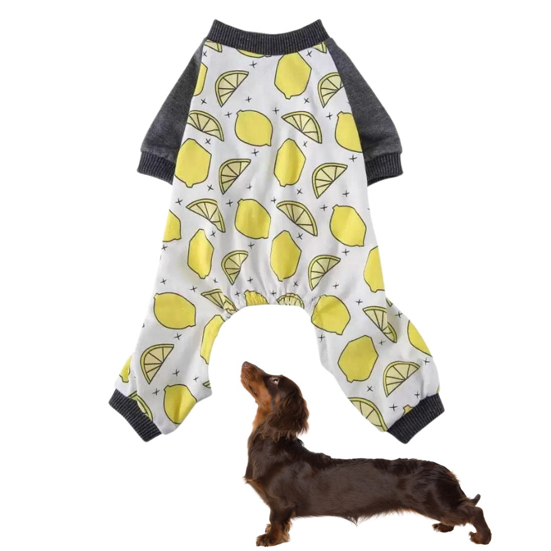 Dog Pyjamas Jumpsuit Printed Cotton Dachshund Onesie Four-Leg Suit Soft Warm Indoor Sleepwear Small Dog Loungewear Cosy | Koossa