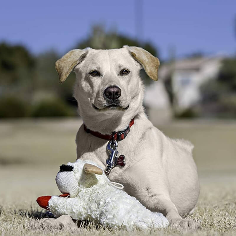 Dog Squeaky Plush Toy Sheep 11.4x4.7in Soft Chew Fetch Tug Puppy Comfort Cuddly Stuffed Animal | Koossa