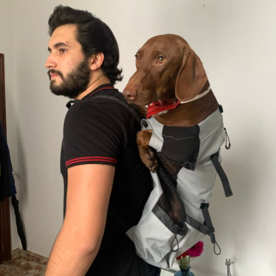 Dog Carrier Backpack Breathable Mesh Dachshund Travel Rucksack Ventilated Adjustable Reflective Small Dog Hands-Free Walking Hiking | Koossa
