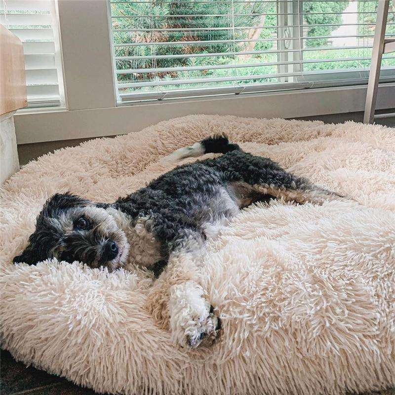 Dog Bed Donut Faux Fur Warm Washable Anti-Anxiety Calming Pet Bed Non Slip Base XS XXL Puppy Sleeping Cushion | Koossa