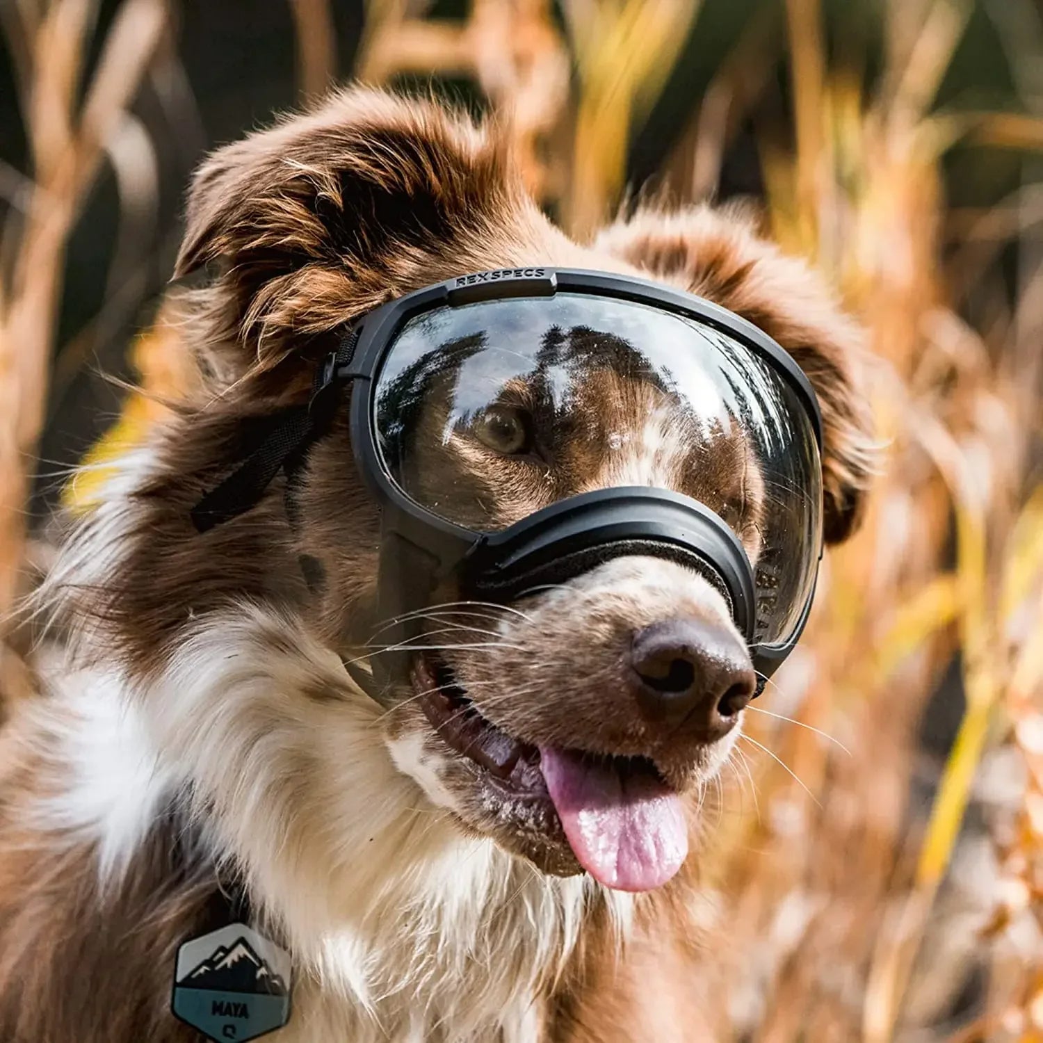 Dog Goggles UV Protection Adjustable Windproof Scratch-Resistant Small Medium Large Dog Sunglasses Outdoor Eye Protection Hiking | Koossa