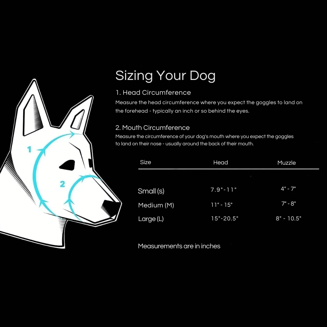 Dog Goggles UV Protection Adjustable Windproof Scratch-Resistant Small Medium Large Dog Sunglasses Outdoor Eye Protection Hiking | Koossa