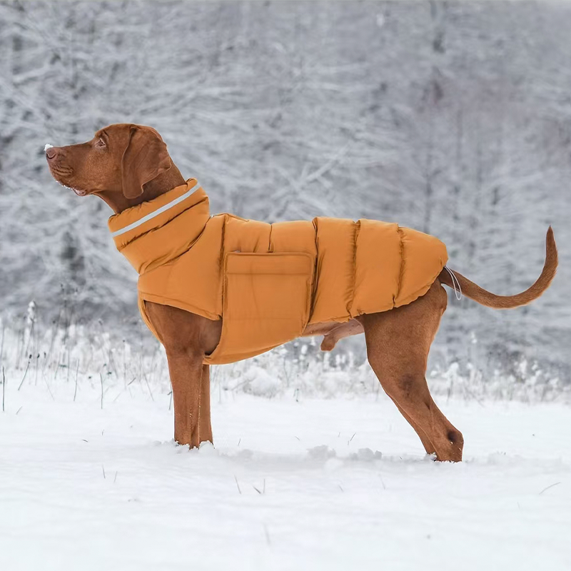 Dog Padded Jacket Vest Polyester Windproof Waterproof S to XL Whippet Greyhound Winter Coat Zip Button | Koossa