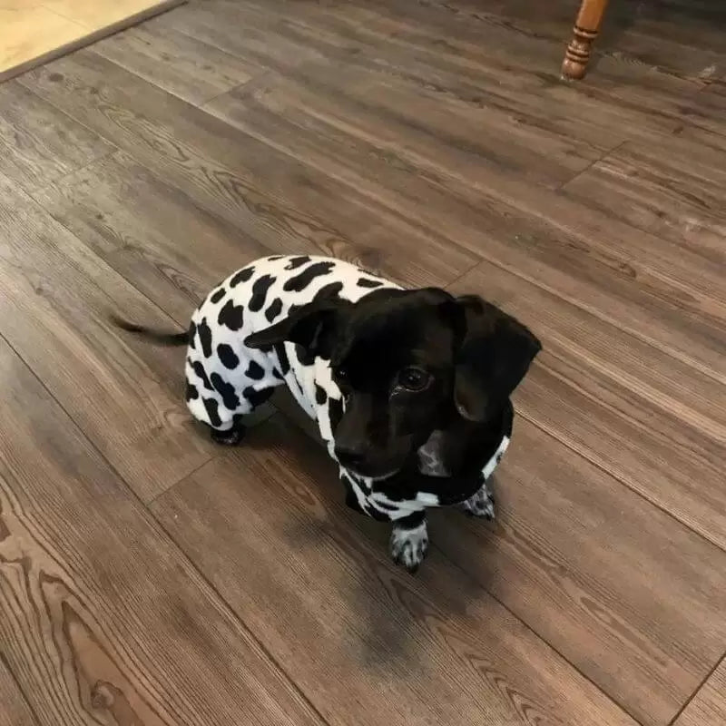 Dachshund Pyjamas Fleece Cow Print Full Body Jumpsuit S–XL Winter Dog Sleepwear Onesie Cold Weather | Koossa