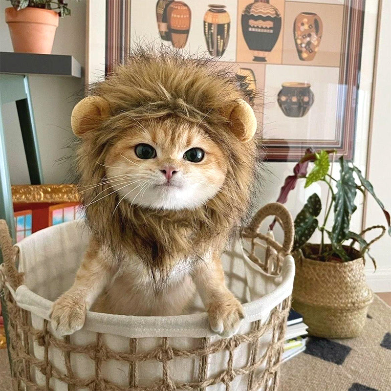 Cat Lion Mane Costume Wig Faux Fur S M L Adjustable Velcro Halloween Party Dress-Up Small Dog Cat Hat | Koossa