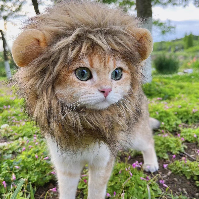Cat Lion Mane Costume Wig Faux Fur S M L Adjustable Velcro Halloween Party Dress-Up Small Dog Cat Hat | Koossa