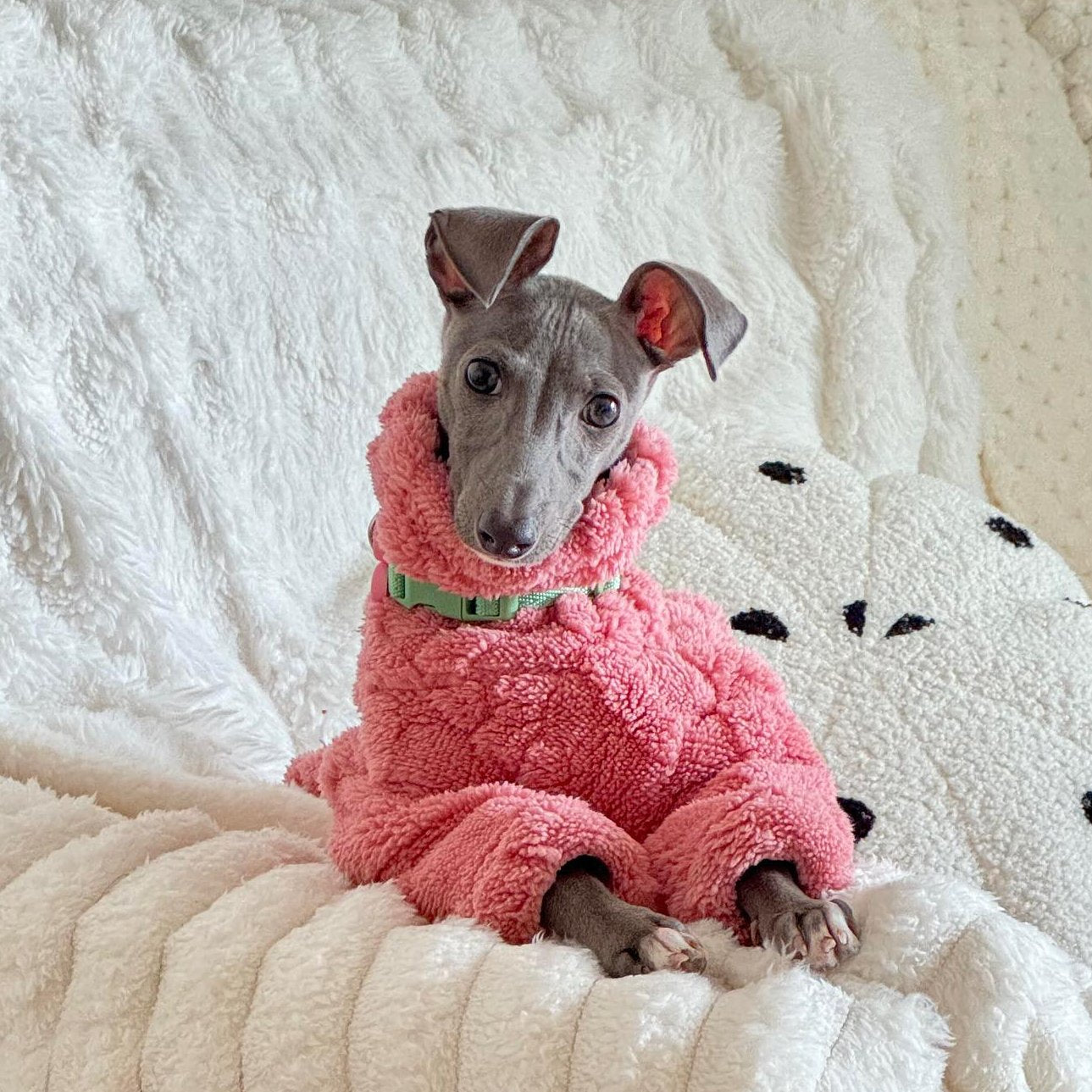 Dog Fleece Jumpsuit Polar Plush Teddy Full Body Suit Italian Greyhound Whippet Onesie Warm Winter Dog Coat XS–XXL | Koossa