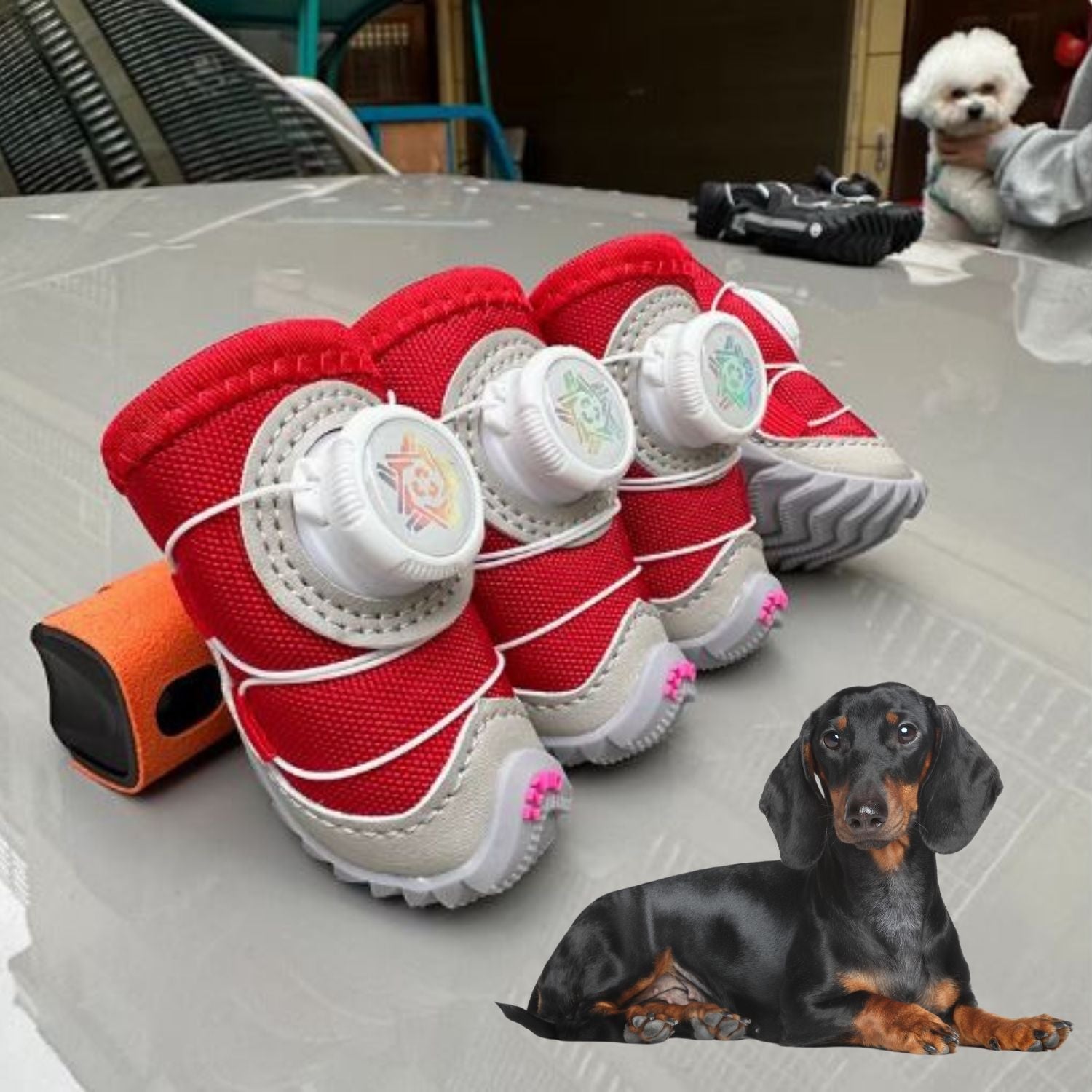 Dog Boots Anti-Slip Rubber Sole Fleece-Lined Dachshund Winter Shoes Water-Resistant Adjustable Lace Small Dog Paw Protection Snow | Koossa
