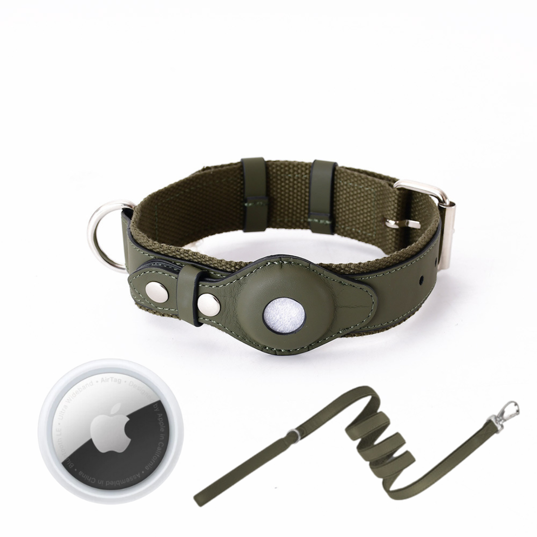 GPS Dog Collar with Real-Time Tracking, No Monthly Subscription, Adjustable Pet Locator Collar for Walks, Hiking & Travel | Lonoma