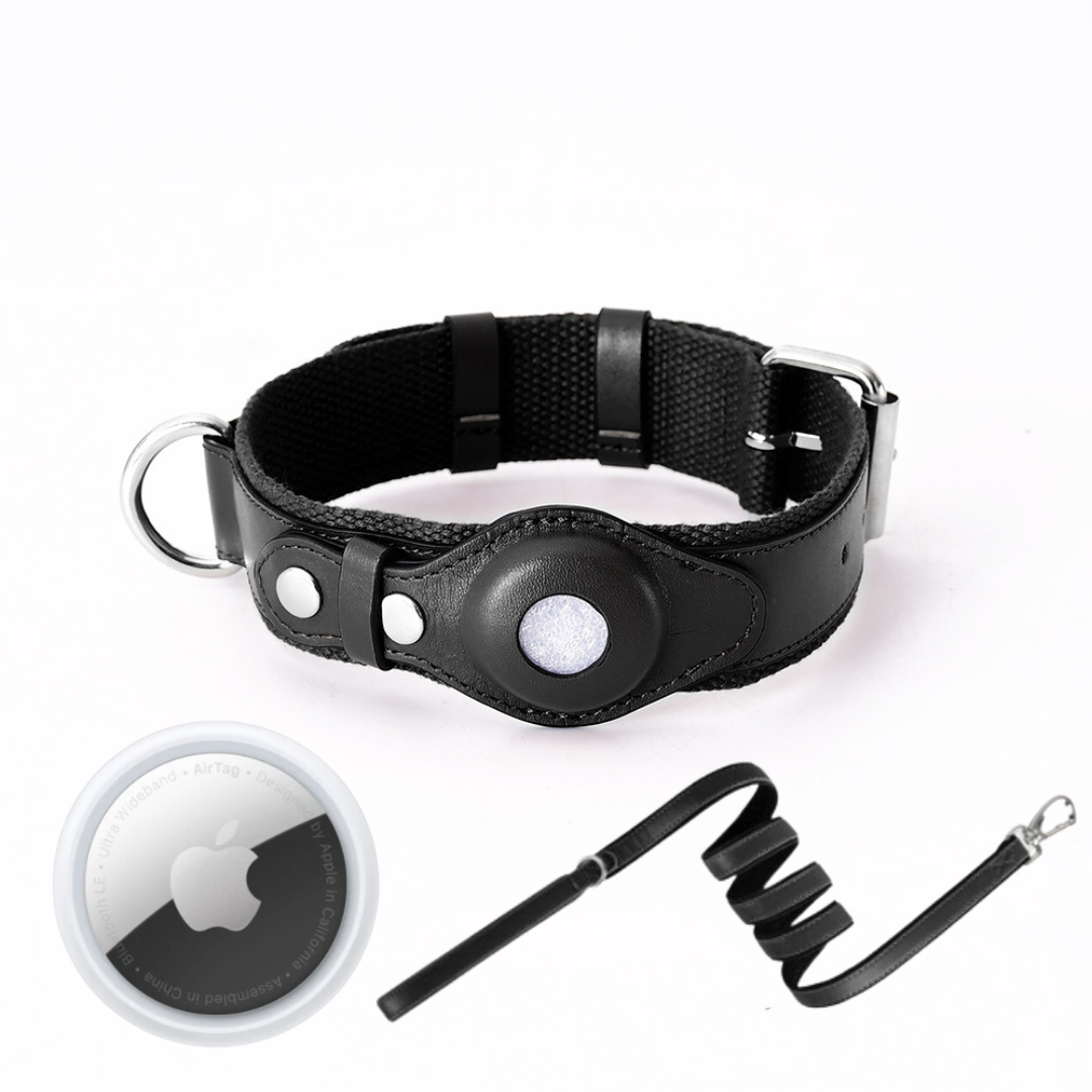 GPS Dog Collar with Real-Time Tracking, No Monthly Subscription, Adjustable Pet Locator Collar for Walks, Hiking & Travel | Lonoma