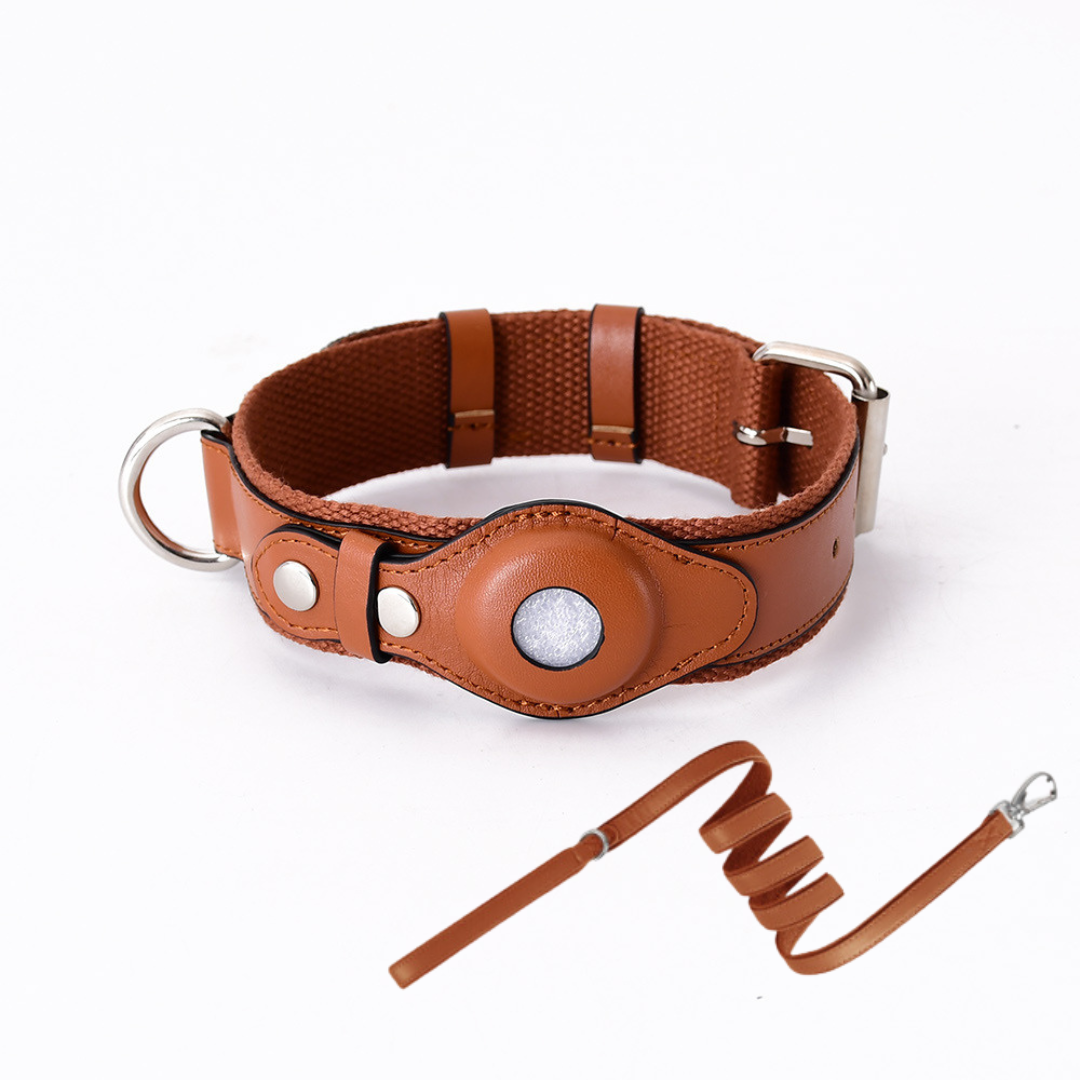 GPS Dog Collar with Real-Time Tracking, No Monthly Subscription, Adjustable Pet Locator Collar for Walks, Hiking & Travel | Lonoma