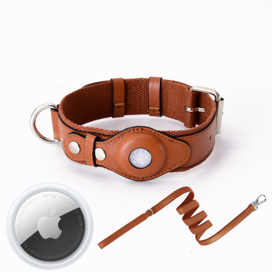 GPS Dog Collar with Real-Time Tracking, No Monthly Subscription, Adjustable Pet Locator Collar for Walks, Hiking & Travel | Lonoma