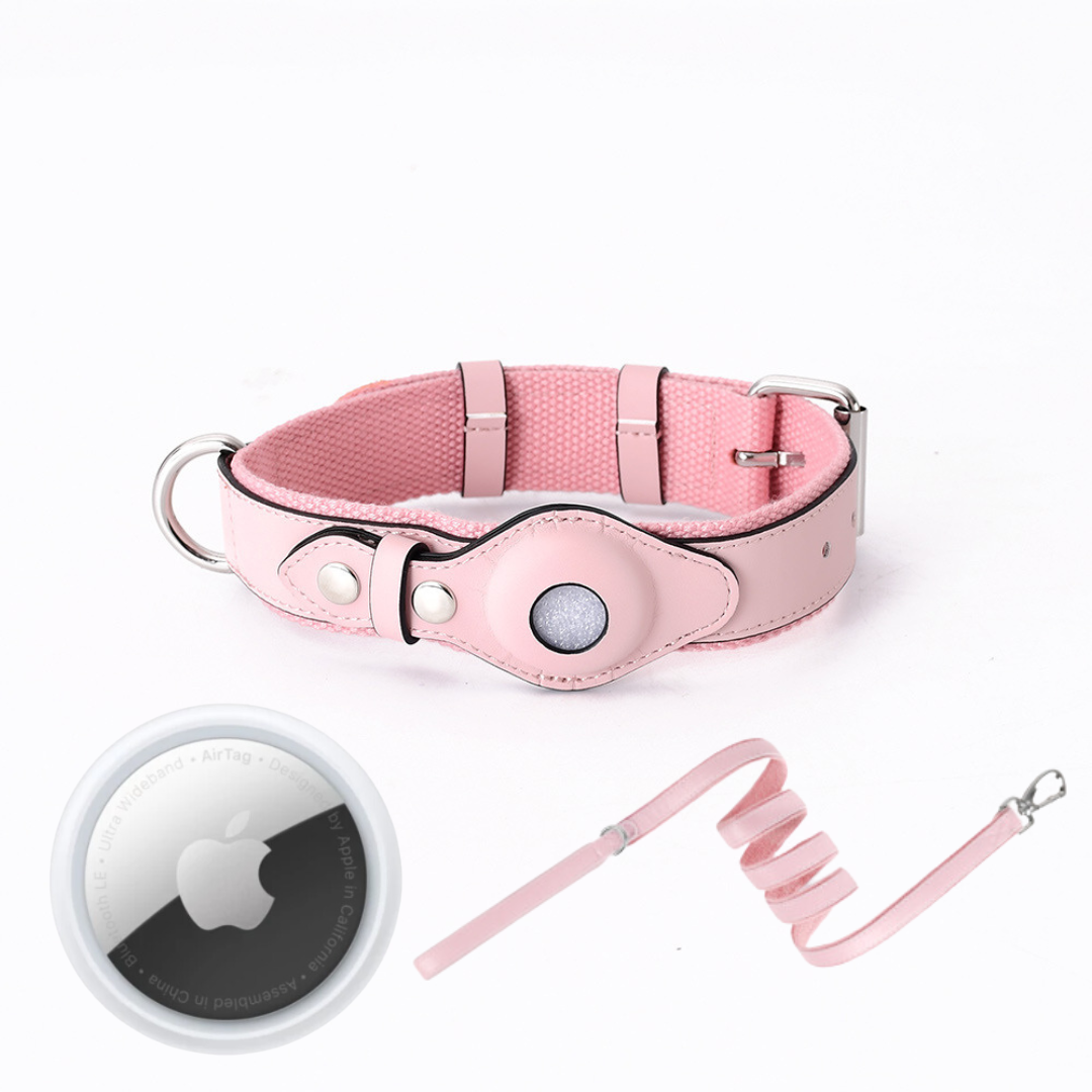 GPS Dog Collar with Real-Time Tracking, No Monthly Subscription, Adjustable Pet Locator Collar for Walks, Hiking & Travel | Lonoma