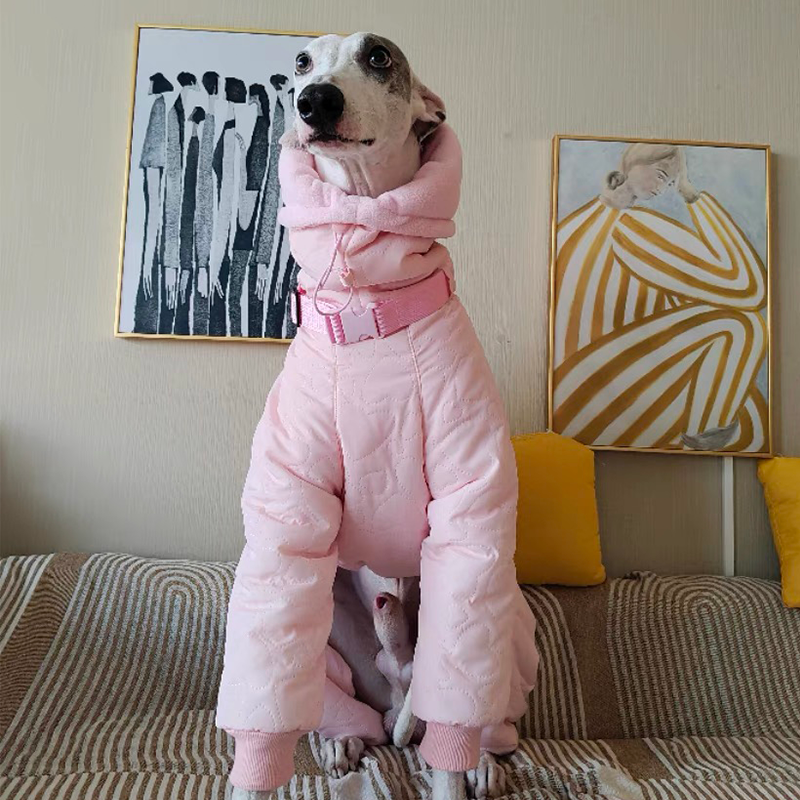 Dog Padded Coat Parka Fleece Lined Waterproof Whippet Greyhound S to 4XL Leash Ring High Neck Windproof | Koossa
