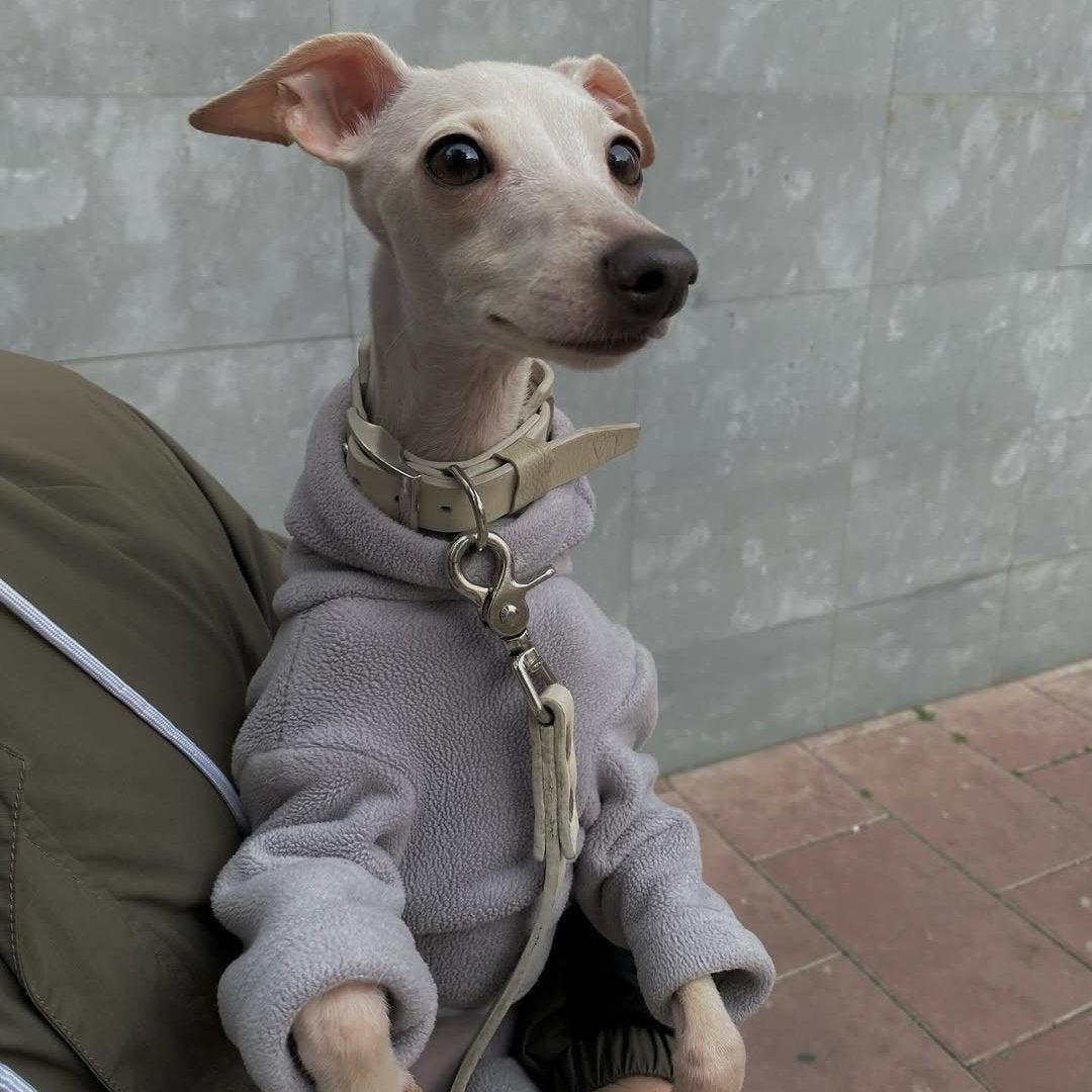 Dog Fleece Onesie Turtleneck Loose Fit Whippet Greyhound XS to XXL Four-Leg Jumpsuit Iggy Winter Clothes | Koossa