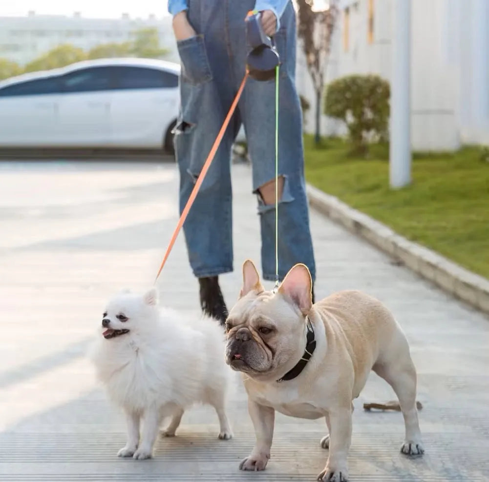 Dog Lead Double Retractable 3m Dual Leash 360° Swivel Two Dogs Tangle-Free LED Light Night Walking | Koossa