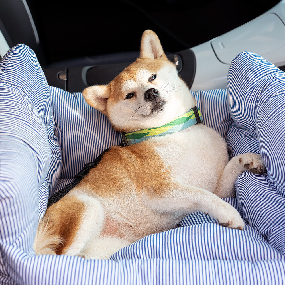 Dog Car Seat Bed Padded Cotton Blue White Striped Medium Large Booster Travel Carrier Washable Safety Pet Seat | Koossa